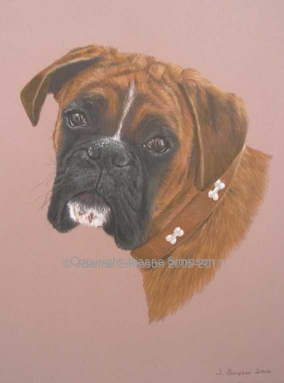 Boxer pet portrait by Joanne Simpson